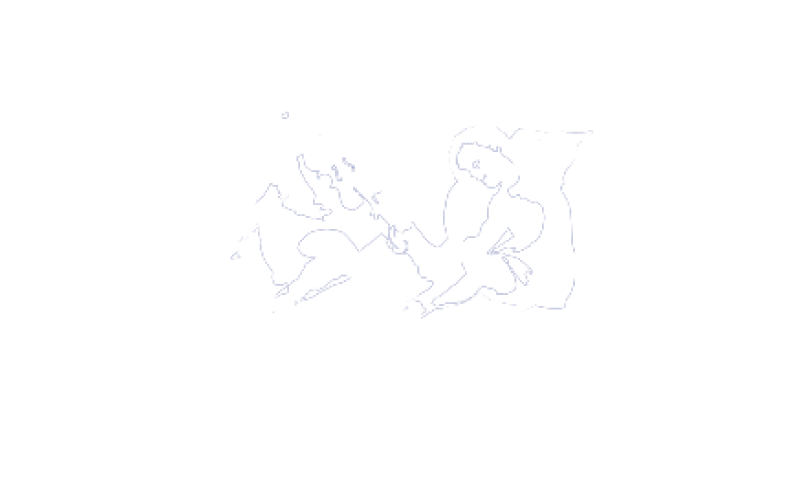Logo Camerata Ducale