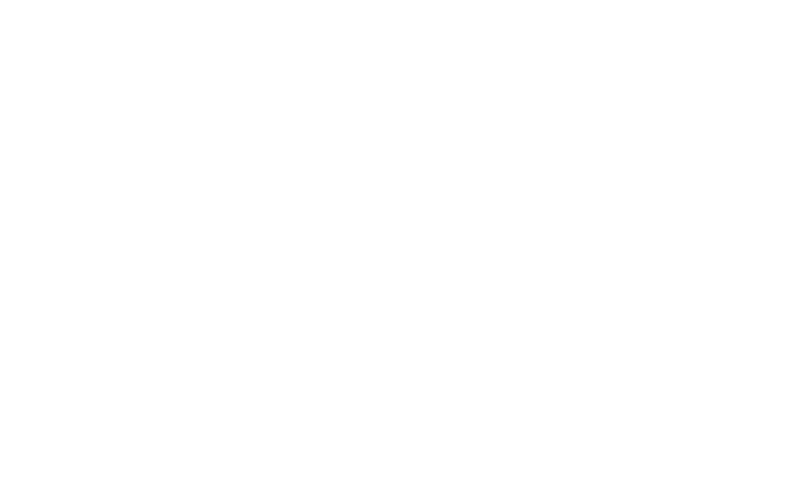 Logo Fondazione Viotti